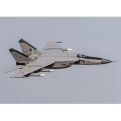 Flyfans Mig-25 Twin 64mm EDF Jet